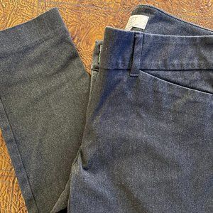 Loft Petites Women's Pant - Skinny Ankle Petite - 2P Dark Gray